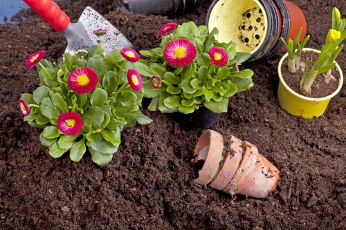Professional garden clearance service in Enfield