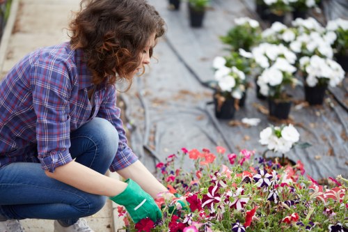 Garden maintenance crew pruning and tidying beds