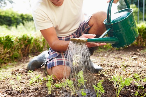 Community garden receiving donated plants and compost