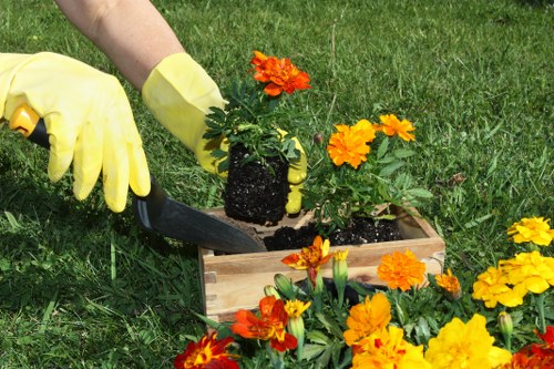 Garden maintenance crew separating plant cuttings