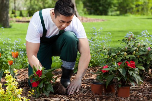 Accepted payment methods icons for garden services in Enfield