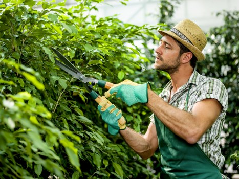 Gardener using tools on a raised bed, showing accessible gardening practices