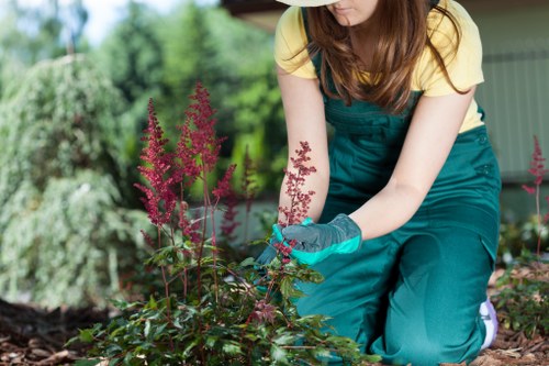 Landscaping works being carried out in an Enfield property