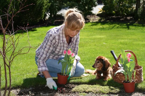 Technician preparing an on-site garden estimate in Enfield