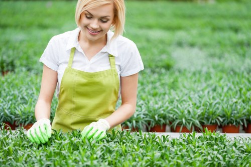 A young woman with short blonde hair, smiling and wearing a white shirt, a light green apron, and gardening gloves, tends to rows of lush, green leafy plants in an outdoor garden. The garden features organized planting beds with healthy, dense foliage, and a background of additional garden beds and greenery, suggesting a well-maintained green space in Enfield. The scene captures a bright, clear day, with natural light illuminating the garden's vibrant colors and textures. The setting demonstrates typical gardening activities in a landscaped yard or community garden, with evenly spaced plants and tidy soil beds. This scene highlights professional gardening work related to plant care and garden maintenance services, relevant to local outdoor environments and landscaping in Enfield, emphasizing the lush and thriving appearance of the garden as part of a well-kept outdoor space.