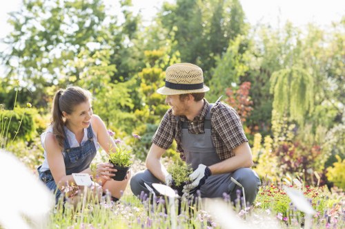 A gardener and a young woman are working together in a well-maintained garden with lush greenery, vibrant flowering plants, and neatly trimmed shrubs. The gardener, wearing a straw hat, plaid shirt, and gardening gloves, is kneeling on a paved area, holding a small potted plant and seeming to explain or show something. The young woman, dressed in a sleeveless top and apron, is crouching beside him, smiling and attentively listening. The garden features a diverse array of colourful flowers, a lush green lawn in the foreground, and a variety of trees and tall shrubs in the background, illuminated by natural sunlight. The scene appears to be set on a clear, bright day, with healthy plant growth and a well-maintained outdoor space, reflecting professional gardening services in Enfield, suitable for enhancing garden aesthetics and plant health.