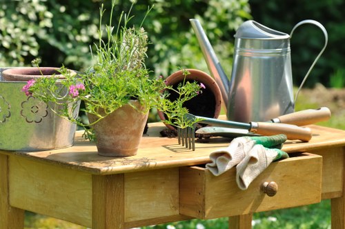 Seasonal garden maintenance activities in Enfield