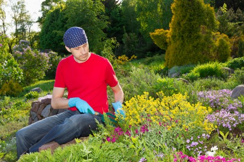 Serene Enfield garden showcasing sustainable gardening practices